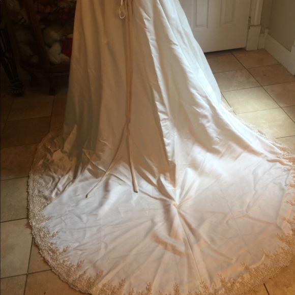 David’s Bridal Ivory & Champagne with lace and sequins 16w - Picture 8 of 13